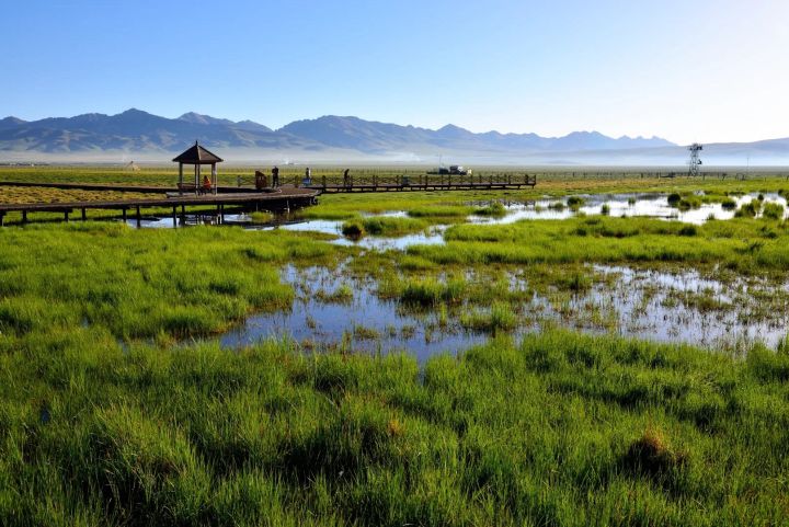 去四川旅游哪些景点不可错过？-第2张-旅游-答答问