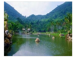 去三亚的呀诺达热带雨林需要带什么？-第1张-旅游-答答问