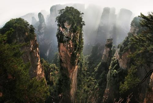 广州到张家界自助游攻略-第3张-旅游-答答问
