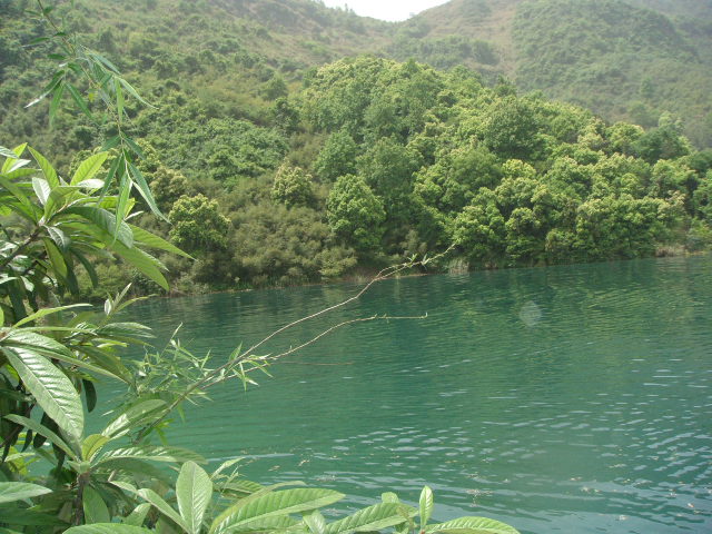 2011/6/26想去黄石阳新仙岛湖一日游，我们是两个人，在武昌应该找哪个旅行社比较好，希望网友们给点建议-第1张-旅游-答答问