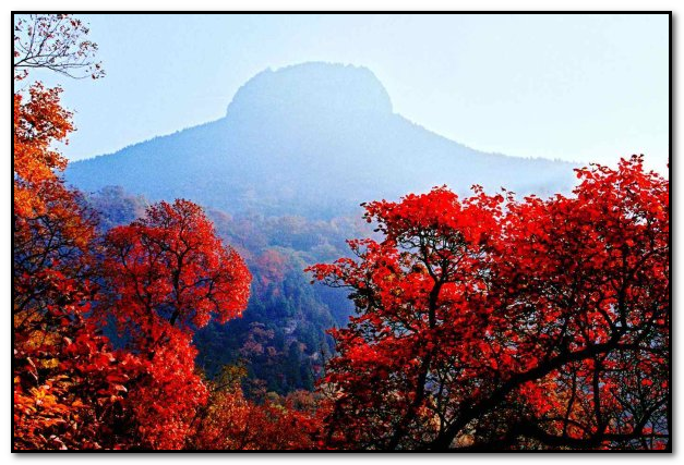 求枣庄旅游景点大全排名，哪些比较推荐？-第3张-旅游-答答问