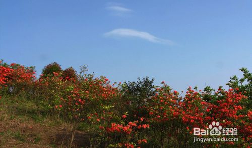 5月左右，浏阳大围山一日游，怎么玩最好？-第6张-旅游-答答问