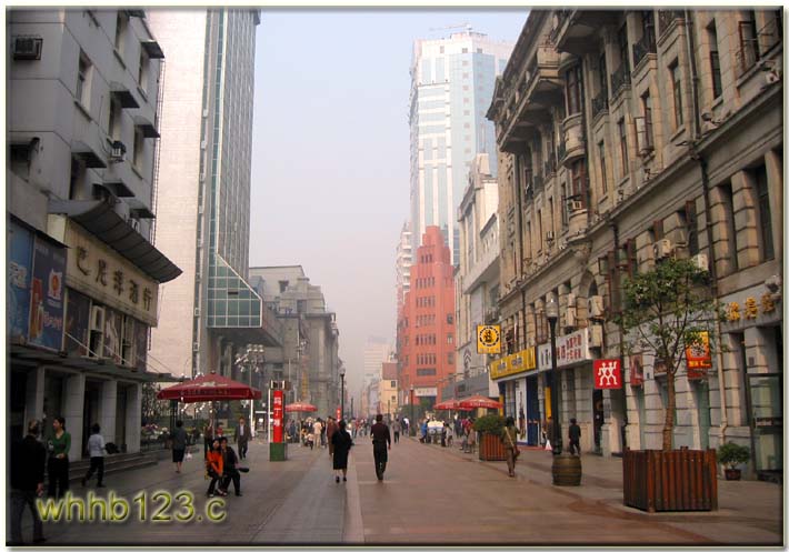 江汉路步行街的建议-第1张-旅游-答答问