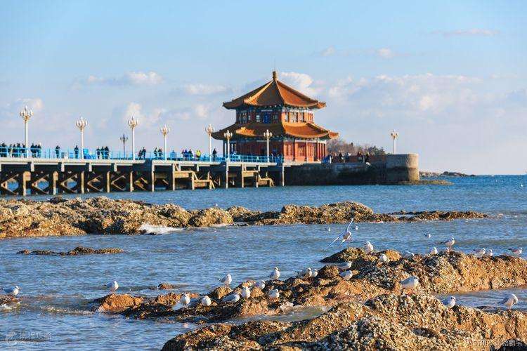 日照，连云港，青岛哪一个地方最适合亲子游？-第3张-旅游-答答问