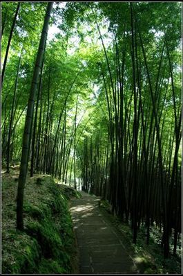 内江周边短途旅游哪里安逸点 谢谢-第1张-旅游-答答问