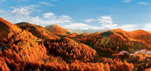 湖北旅游景点排名前十的景点有哪些？-第1张-旅游-答答问
