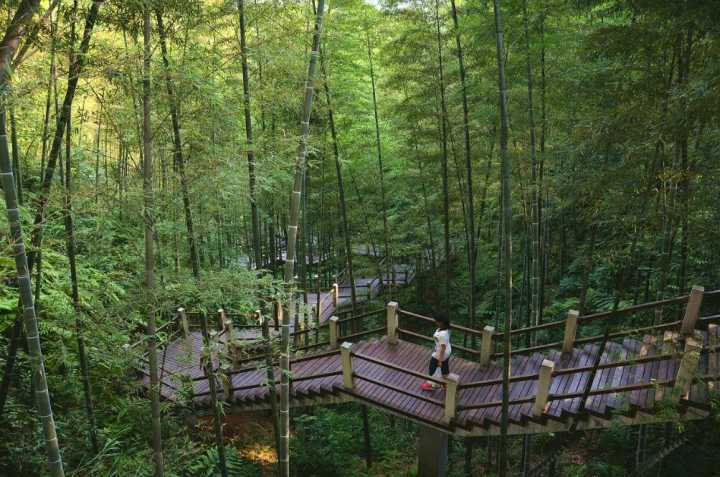 遵义市内有哪些好玩的旅游景点？-第5张-旅游-答答问