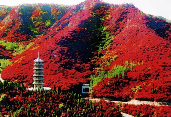 长春到蛟河红叶谷多少公里-第1张-旅游-答答问