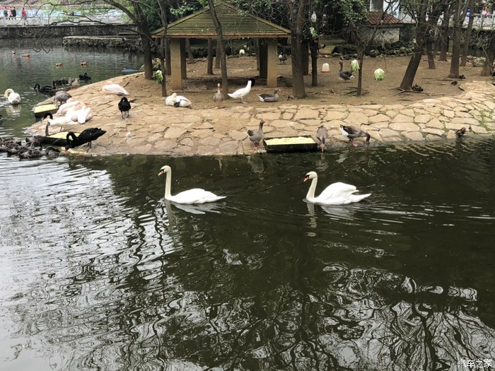 与我的爱车长安CS75一起到黔灵山公园一日游！-第17张-旅游-答答问