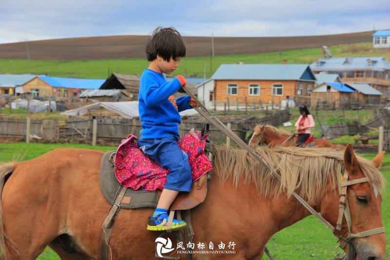 呼伦贝尔草原最适合亲子游的几个地方，旅游攻略-第4张-旅游-答答问