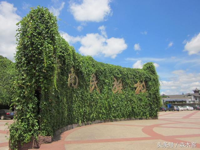 昆明附近有什么一日游的好去处-第7张-旅游-答答问