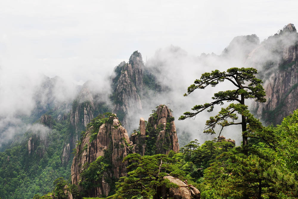 上海周边自助旅游攻略-第5张-旅游-答答问