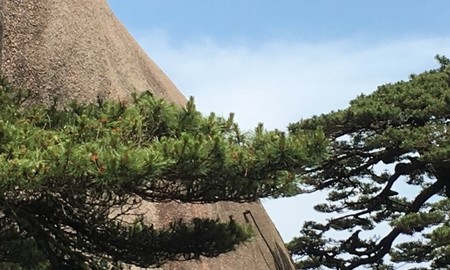 黄山一日游的攻略是什么？-第2张-旅游-答答问