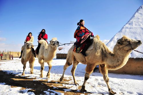 2月份，去宁夏水洞沟旅游景区，有哪些可游玩的项目？-第11张-旅游-答答问