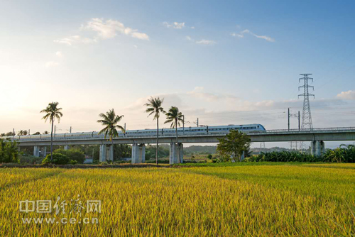 海南环岛铁路的建设沿革-第1张-交通-答答问