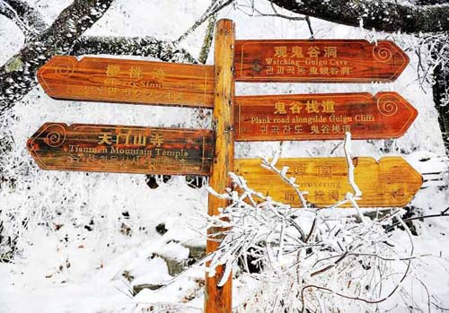 张家界国家森林公园旅游线路?-第4张-旅游-答答问