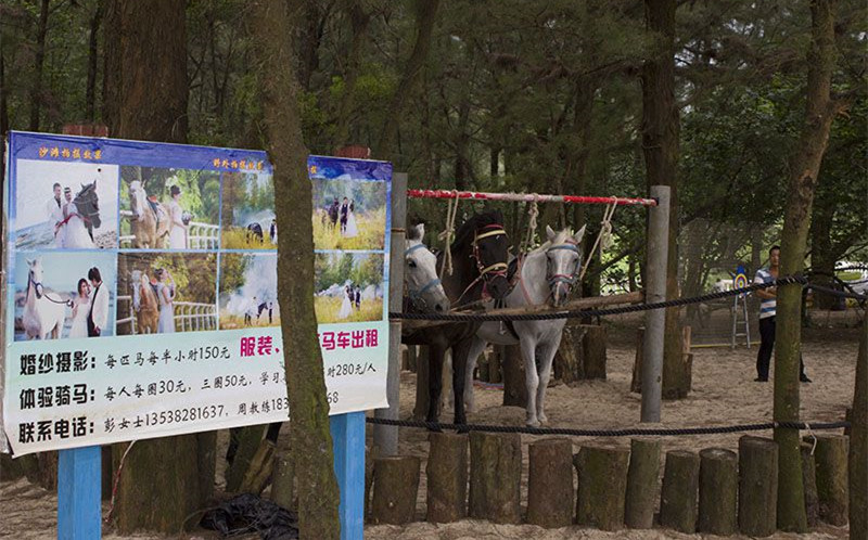 深圳玫瑰海岸有哪些地方值得游览？-第2张-旅游-答答问