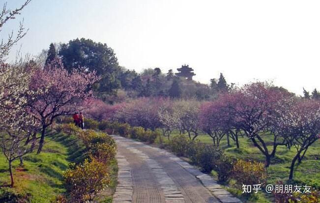 南京旅游必去十大景点-第5张-旅游-答答问