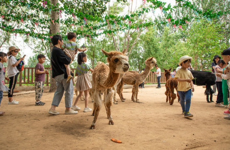 秦皇岛燕山大学附近有哪些旅游景点（好玩的）？？-第8张-旅游-答答问