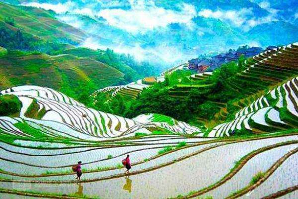 去桂林龙脊梯田游玩，有哪些攻略？-第3张-旅游-答答问