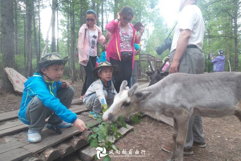 呼伦贝尔草原最适合亲子游的几个地方，旅游攻略-第5张-旅游-答答问