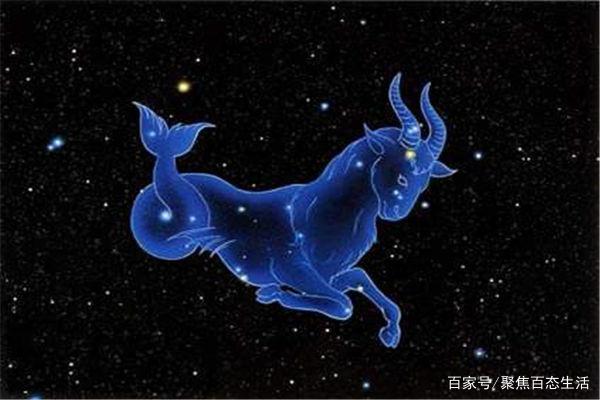 金牛座和什么星座比较配-第1张-交通-答答问