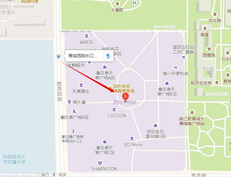 西安雁塔区慈恩路777号（大雁塔南广场西侧）。-第1张-交通-答答问