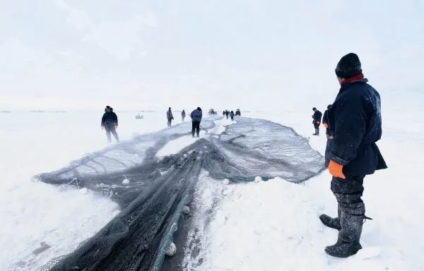 呼伦贝尔的冬天会有什么适宜游玩的景点呢？-第6张-旅游-答答问