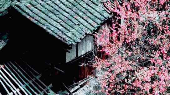 中国哪个城市最适合居住-第1张-旅游-答答问