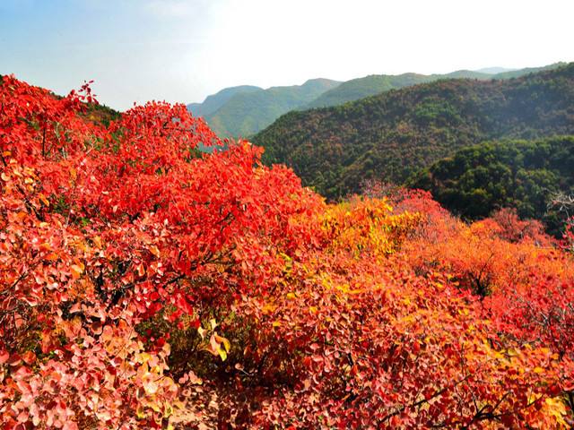 在北京坐地铁怎么去香山-第1张-交通-答答问
