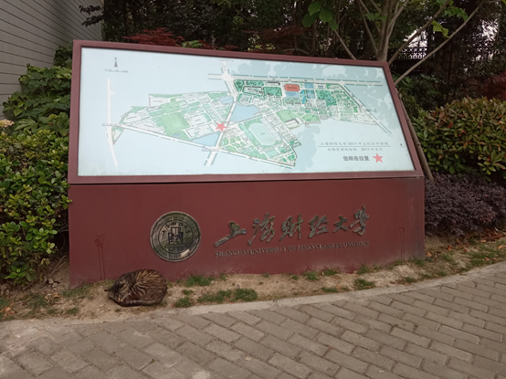 在上海财经大学就读是怎样的一种体验-第1张-交通-答答问