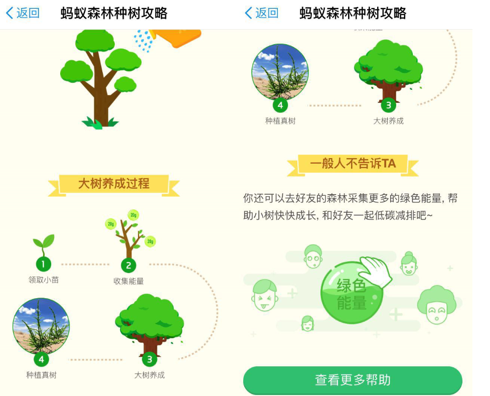 蚂蚁森林为什么每天会固定产生52克能量-第1张-交通-答答问