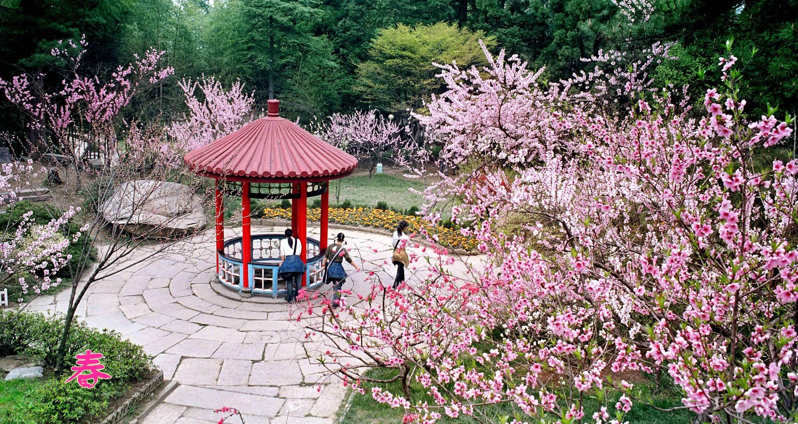 庐山一日游哪些景点可以去?-第1张-旅游-答答问