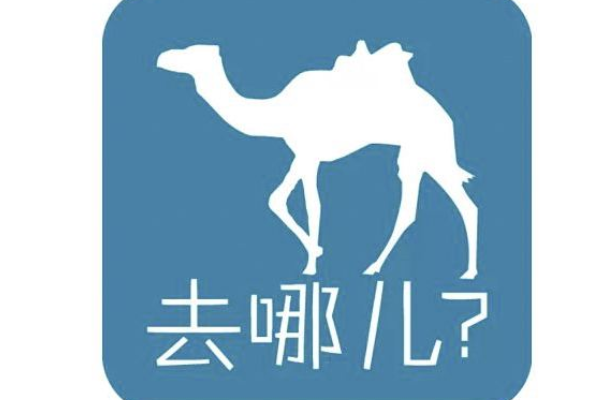 哪个旅游网站比较好-第2张-旅游-答答问