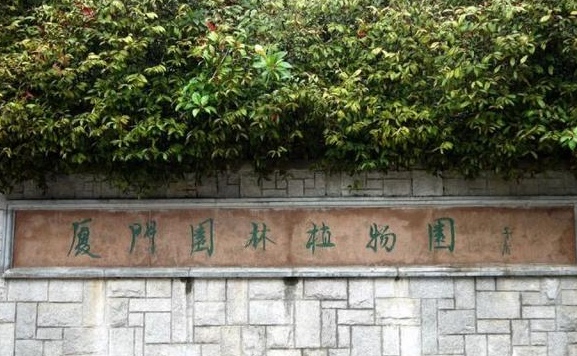 去厦门必玩的十大景点是哪些？-第2张-旅游-答答问