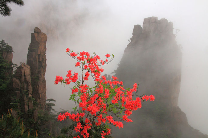 黄山旅游最佳路线-第8张-旅游-答答问