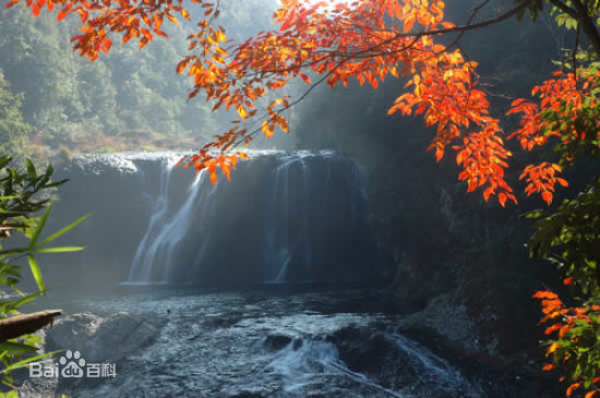 漳州云水谣旅游攻略走吧旅行一日游怎么样？当地的门票价格贵不贵？熟悉的人说一下-第1张-旅游-答答问