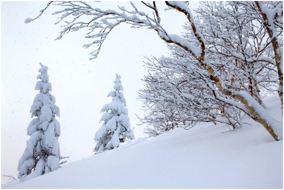 北海道的雪景有多美-第1张-交通-答答问