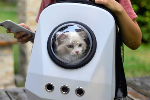 猫装在太空包里可以带进地铁吗-第1张-交通-答答问