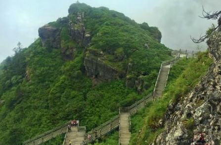 走进湖北神农架，爬上华中第一高峰，想看风景奇秀的神农谷吗？-第4张-旅游-答答问