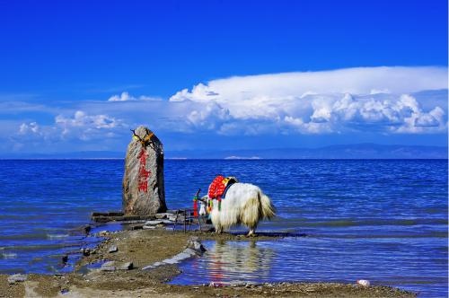 兰州出发到青海湖游玩攻略怎么做？-第1张-旅游-答答问