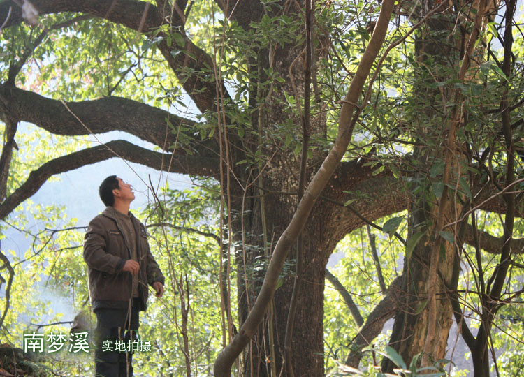 自驾从西安到成都走老路怎么走，主要是想体验秦岭-第6张-旅游-答答问