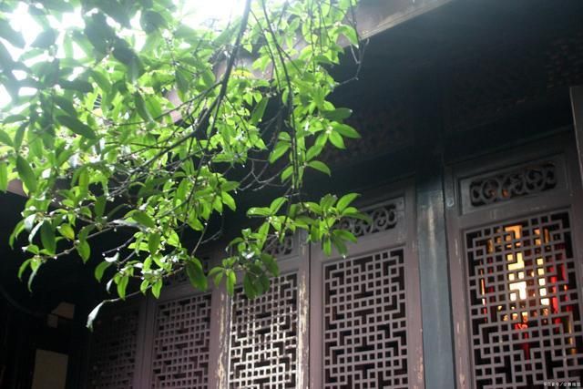 绍兴轨道交通2号线全长多少公里什么时候才能开通了-第1张-交通-答答问