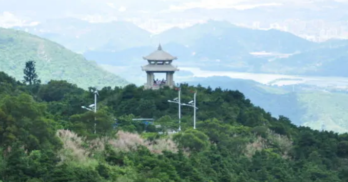 深圳一日游必去的地方有哪些？-第1张-旅游-答答问