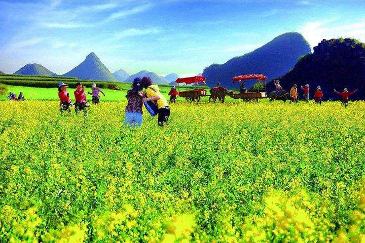 春节去哪里旅游最划算，湖北最适合春节旅游的地方-第1张-旅游-答答问