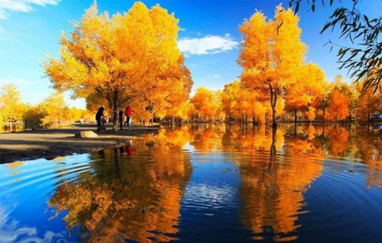 胡杨林旅游最佳时间11月份去看胡杨林还可以吗-第1张-旅游-答答问
