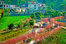 花都有哪些景点？-第9张-旅游-答答问