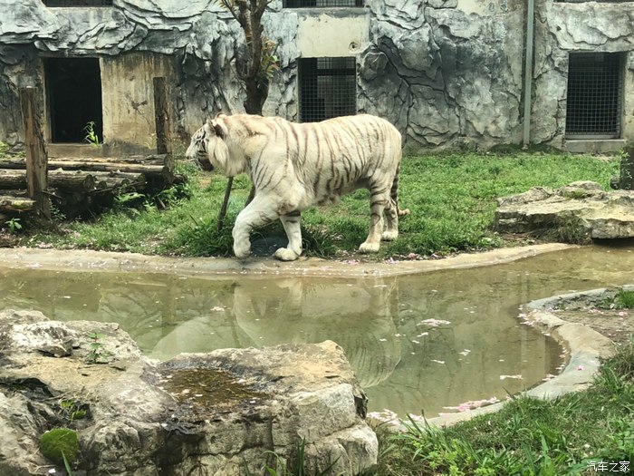 与我的爱车长安CS75一起到黔灵山公园一日游！-第15张-旅游-答答问