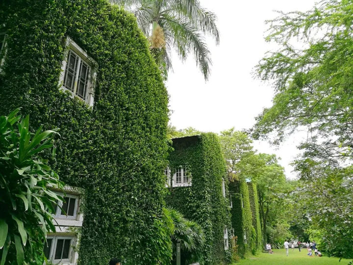 女生去泰国旅行旅游该怎么穿衣服？怎么搭配服装拍照？-第10张-旅游-答答问