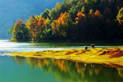 贵州经典旅游线路走吧旅行最值得去的几个地方是哪儿?-第2张-旅游-答答问